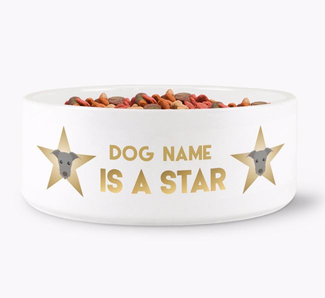 'Dog is a Star' - Personalised Dog Bowl for your {breedFullName}